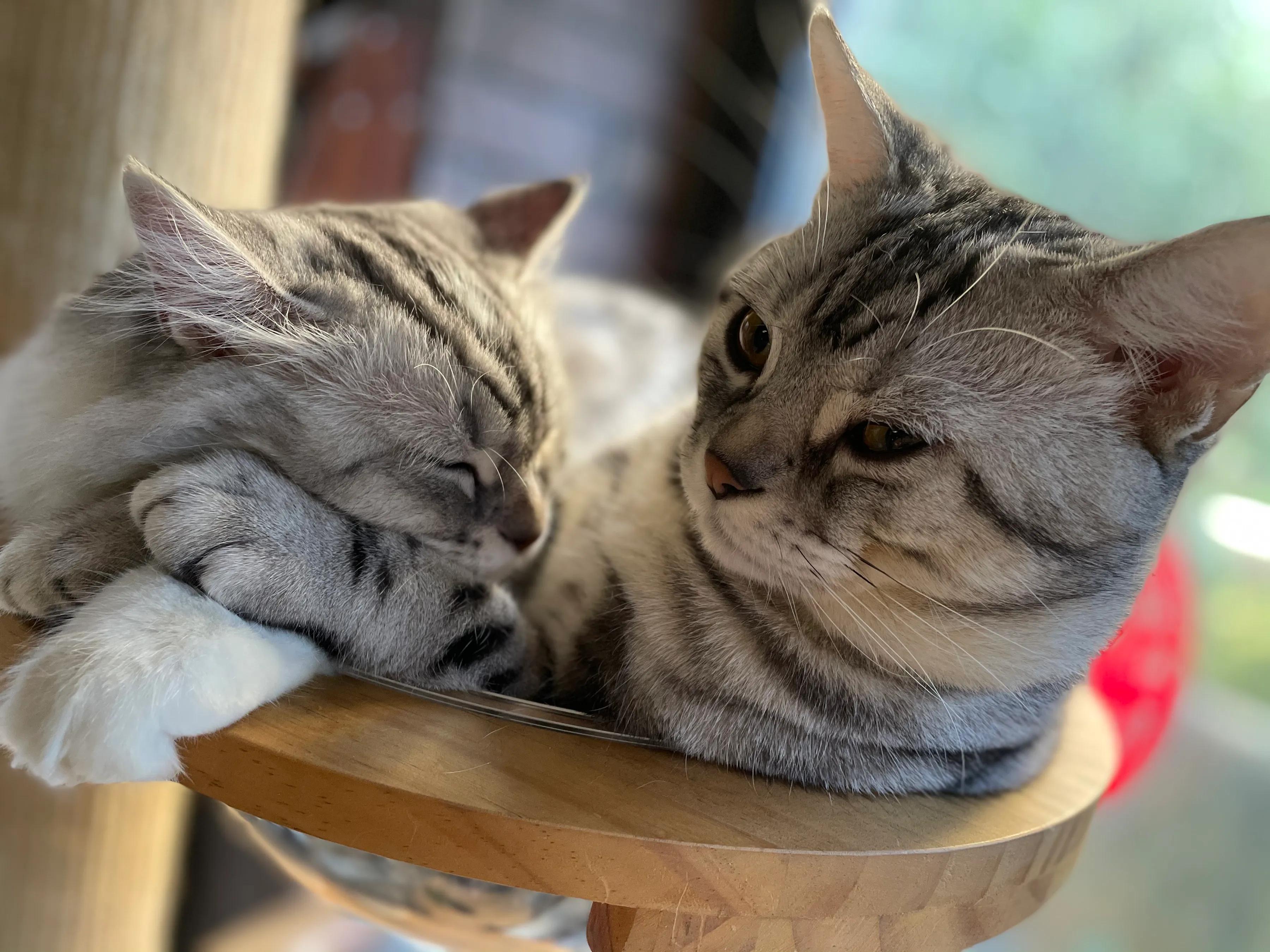 明天我的小屁屁要去深圳了