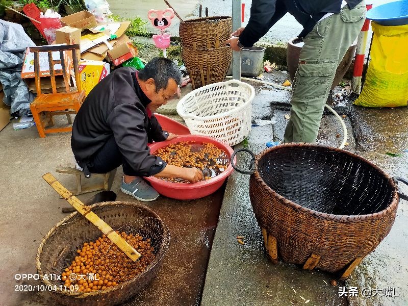 南京去徽州天路自驾游玩攻略,徽州自驾游路线攻略