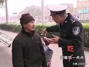 猫属于肉食动物一般不吃什么,猫咪是肉食动物为什么也吃饼干