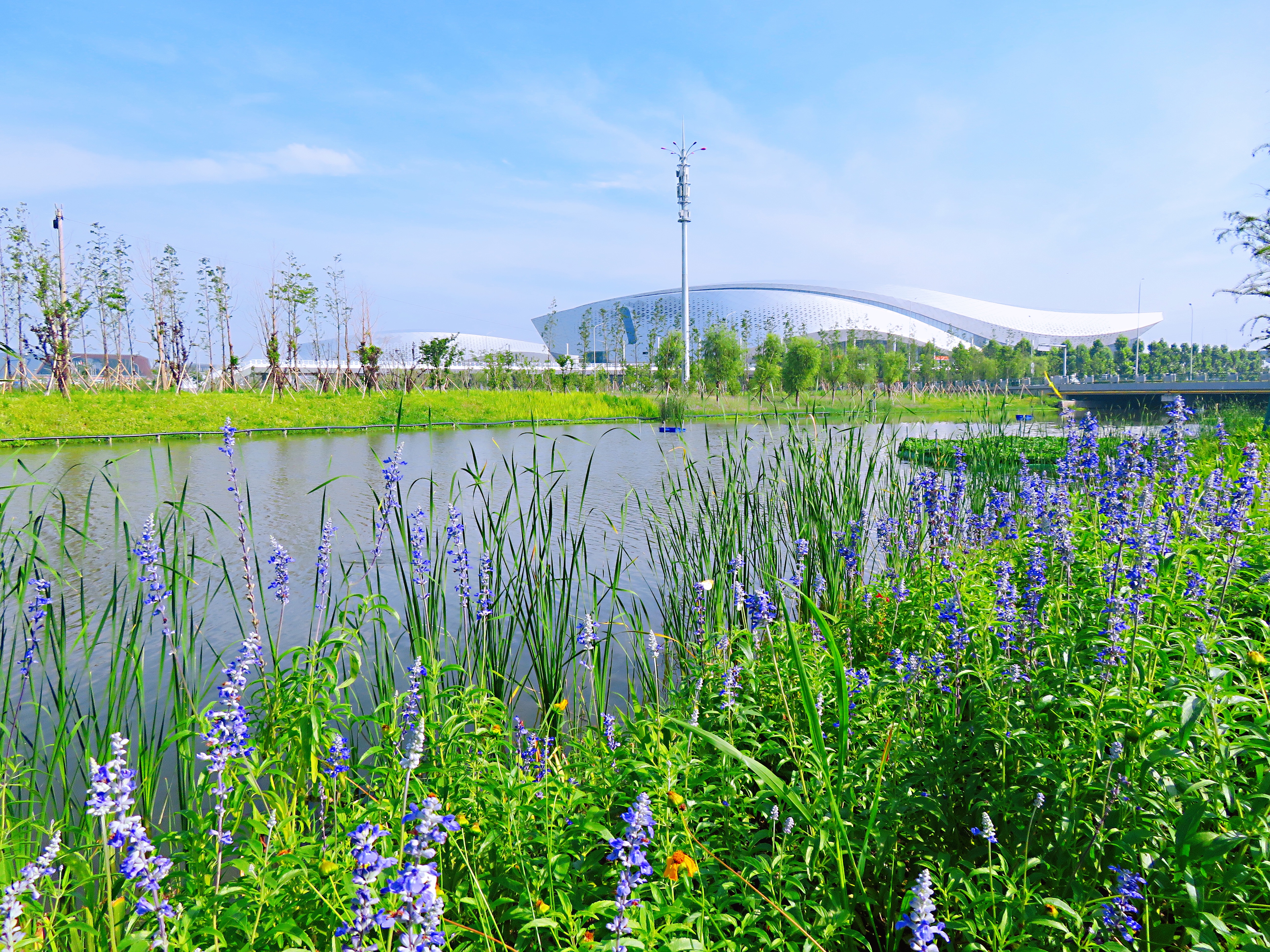 宁波附近野外潜水的地方有哪些,宁波哪里玩适合带小孩水上乐园