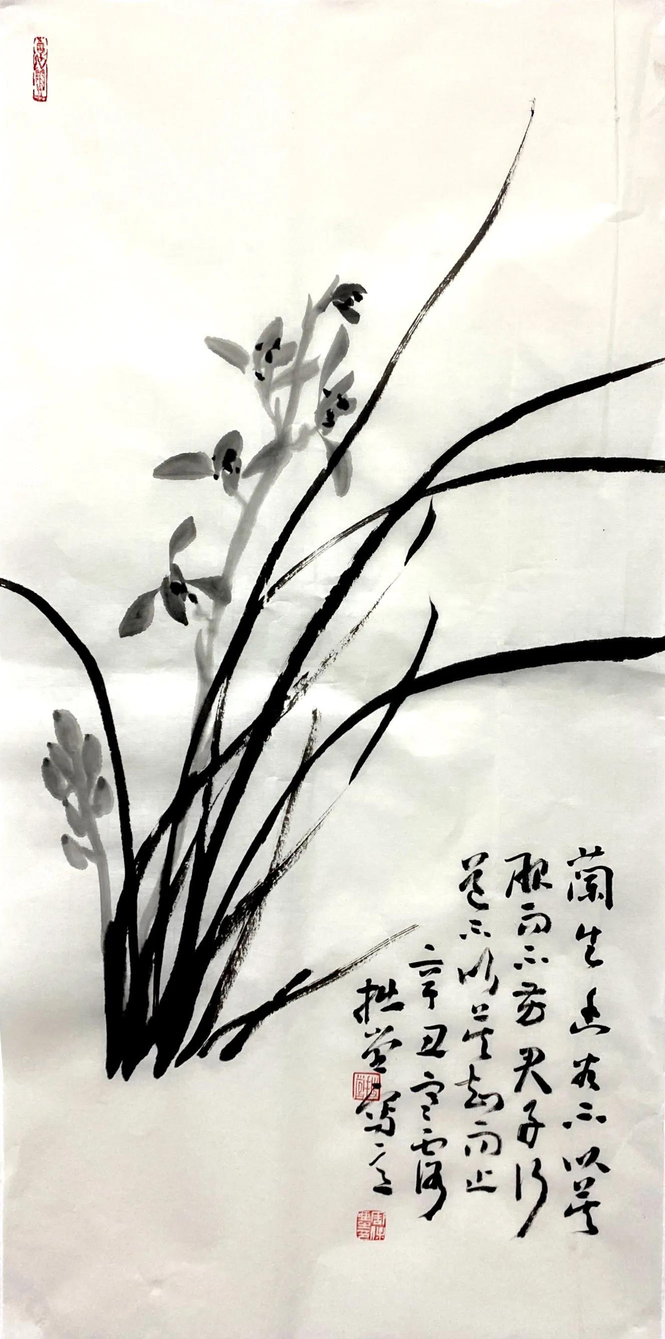 国画写意兰花作品图片欣赏,国画兰花欣赏精品