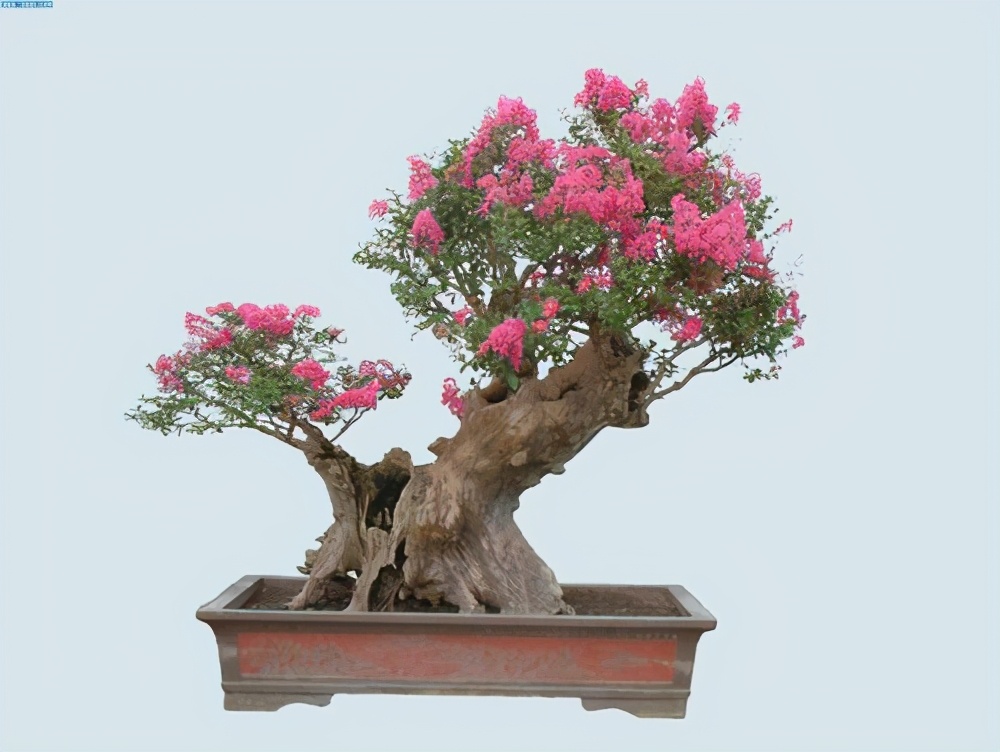 农村投资小见效快的项目,十万元在农村最合适投资什么项目