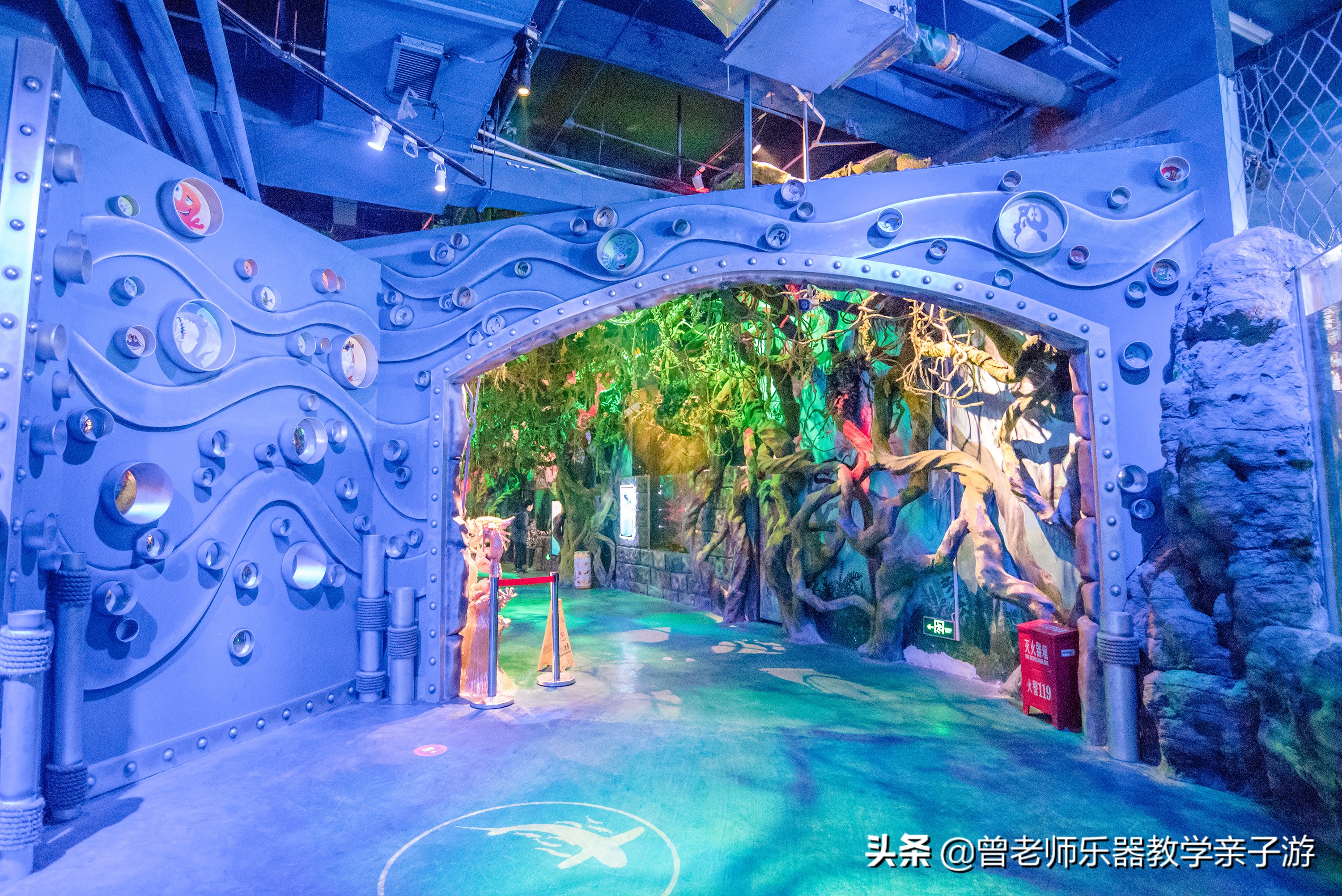 西安太奥海洋馆,西安极地海洋世界海豚表演