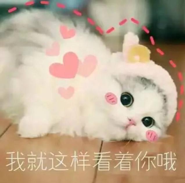 佩佩波克皮肤,荒野乱斗艾德加新皮肤国际服