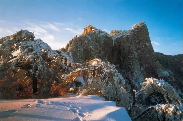 新春景区旅行攻略,新年华山旅游攻略