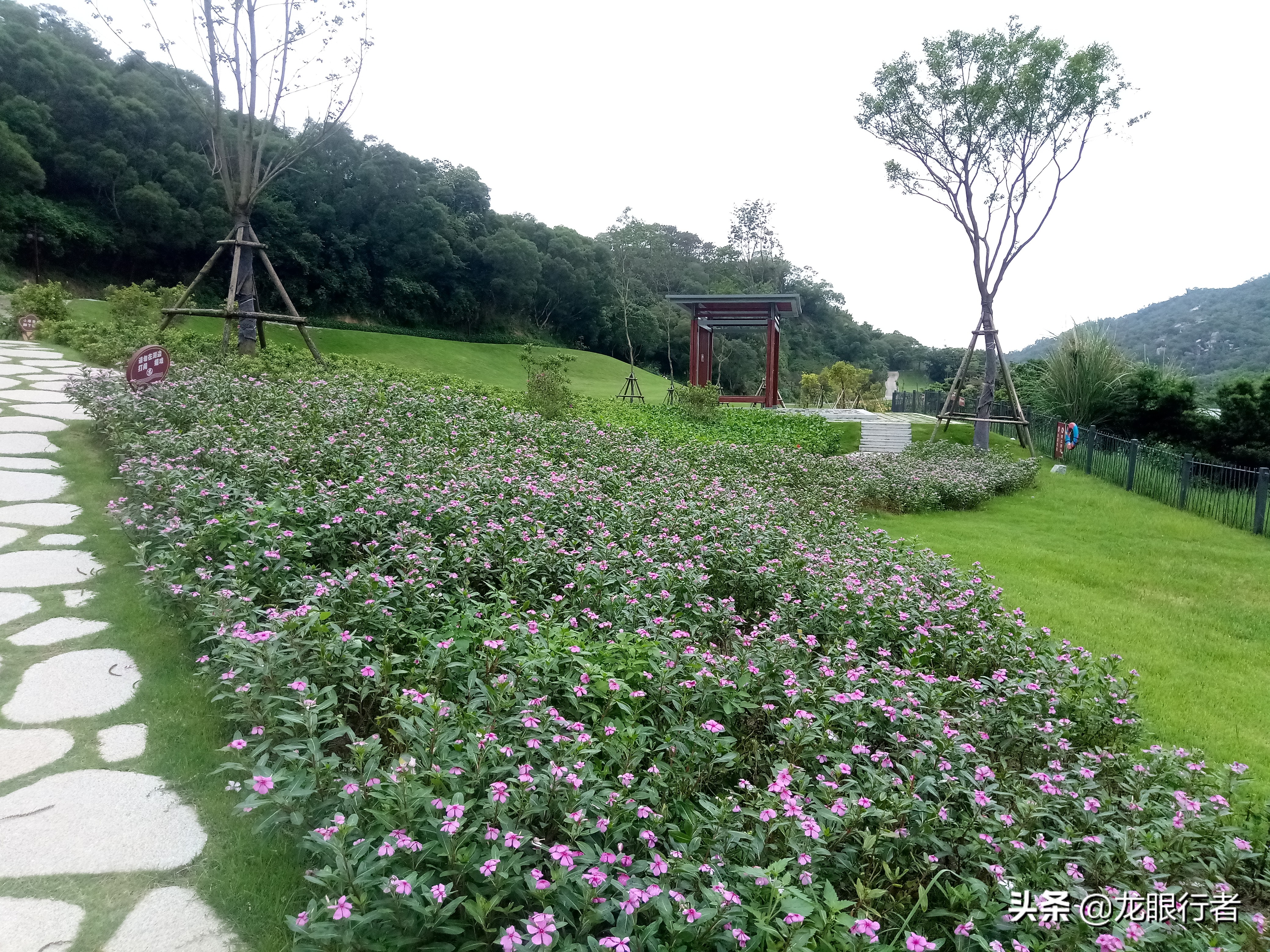 绝配，万载*光春**百年坝，厦门岛竟然私藏着曾经的远东第一水厂