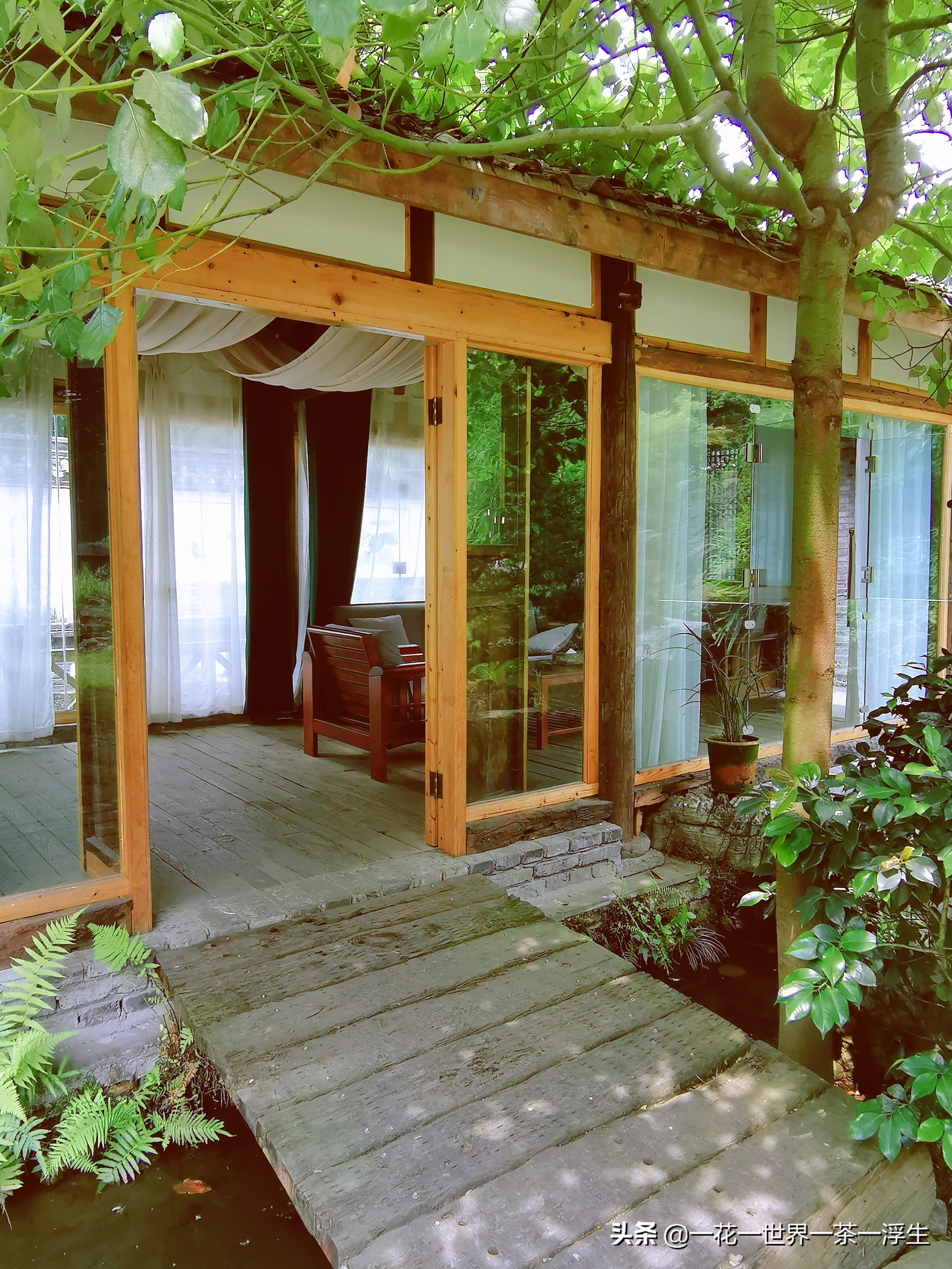 寻找巴适的成都小院（2）