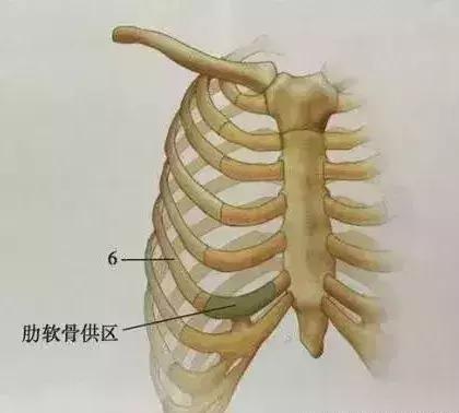 19岁女孩做隆鼻手术8小时内死亡,29岁女生隆鼻死亡真相调查