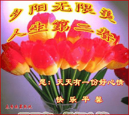 九九重阳节最美祝福送上,九月九重阳节祝福语简短