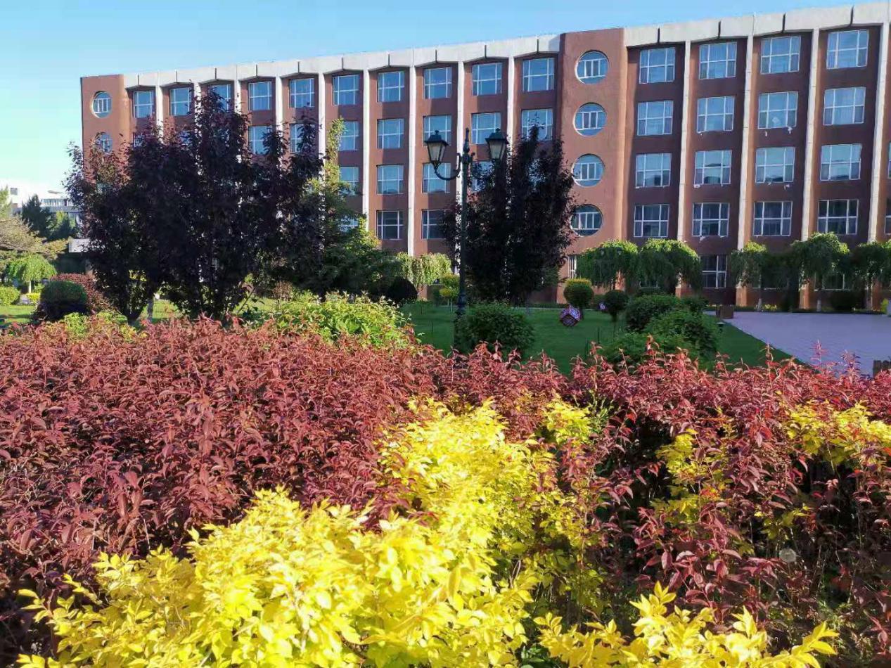 创新管理模式提升社区服务水平,创新管理提高效能