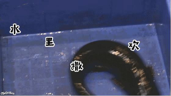 香Skr人！这家店排了两个小时？饭饭送你免排队黑卡内含¥？68