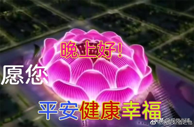 莲花建筑足球场,新建的莲花型足球场