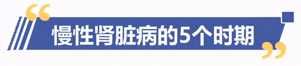 糖尿病肾脏疾病你真正了解吗,肾脏不容忽视