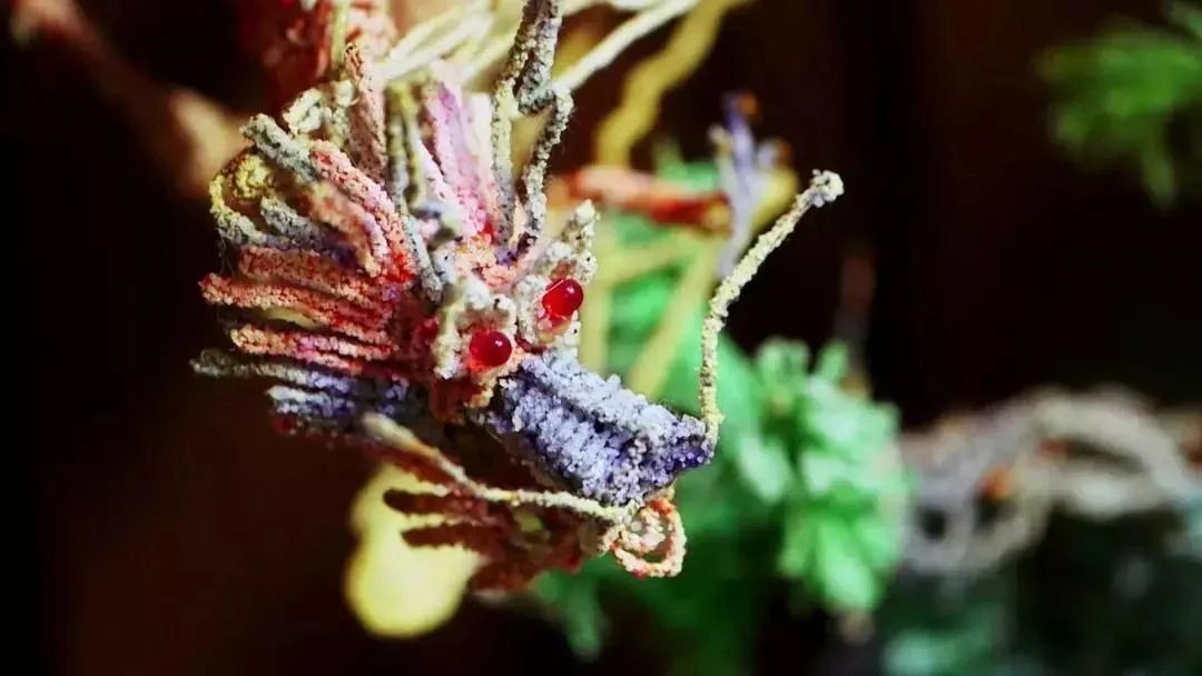 风情小镇|世界矾都，明矾故里