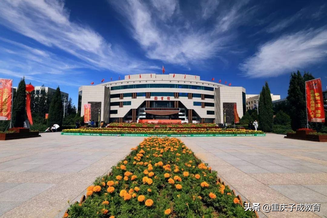 中国最具特点的二十所高校,中国高校前二十名大学