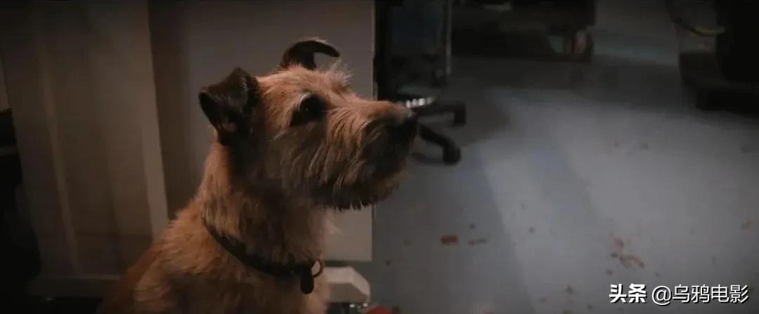 一部被低估的科幻电影末日,现在最火的末日片有哪些