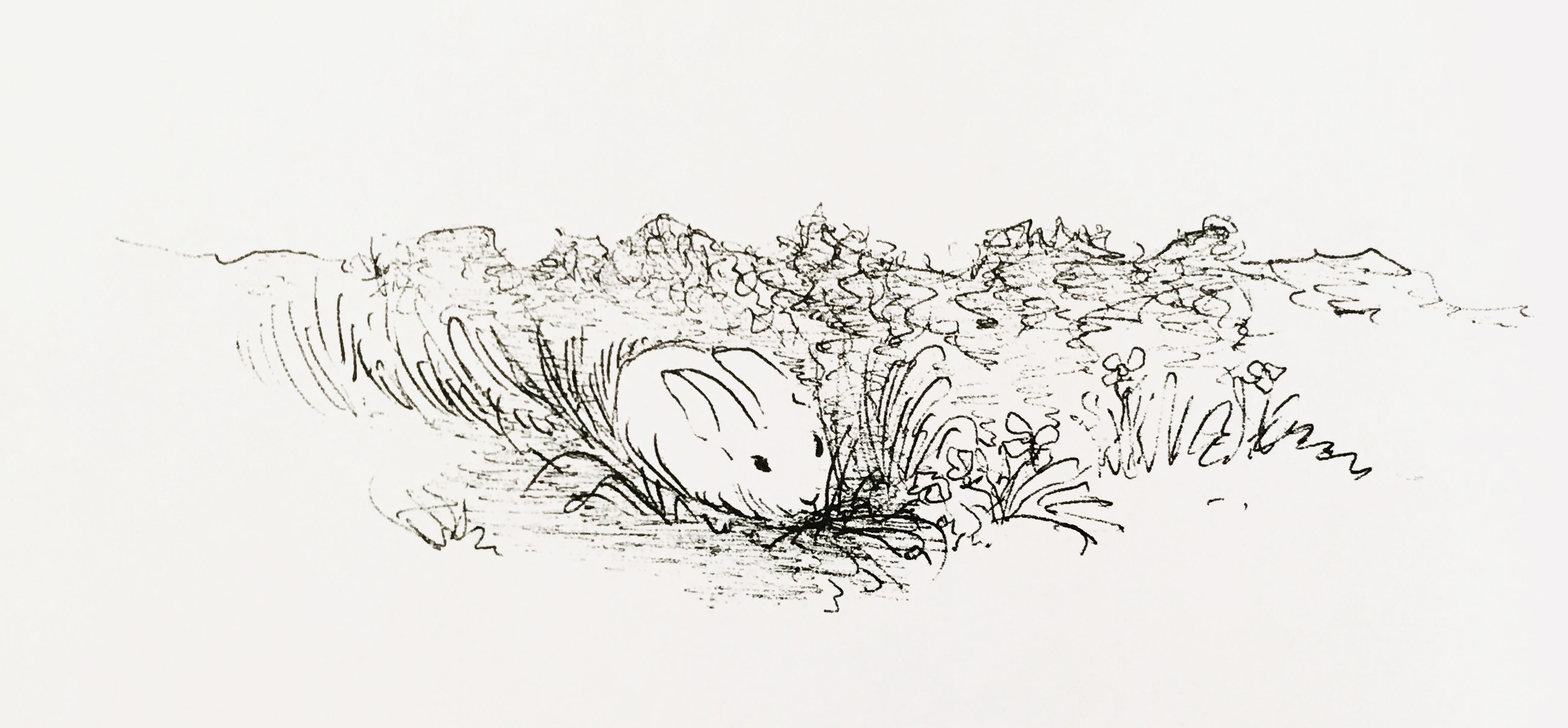 17张一只铅笔就搞定的黑白插画，画风简单，100年来却让人着迷