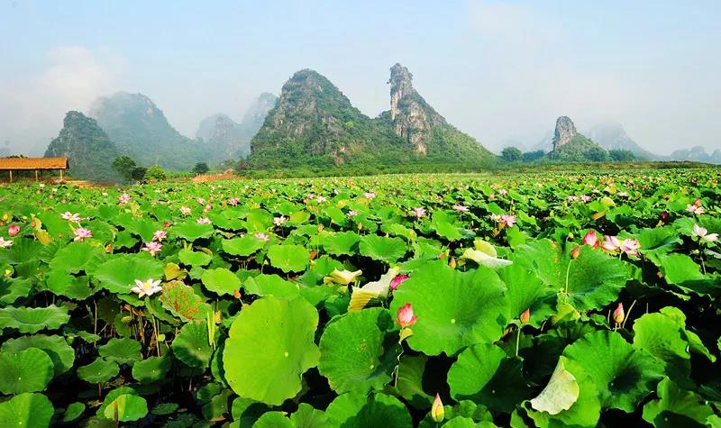 深圳出发广州自驾游,深圳去广州一日游攻略自驾游