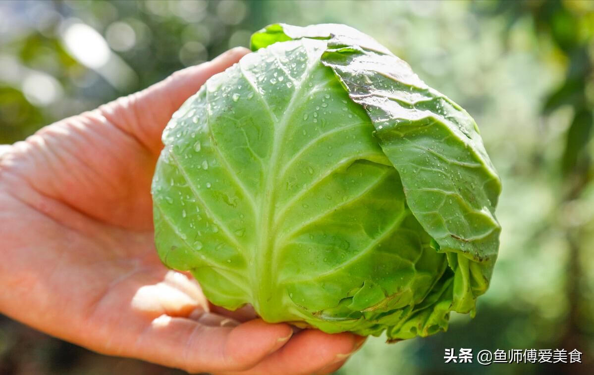 小满时节吃什么菜好吃,小满节气必吃的8种食物