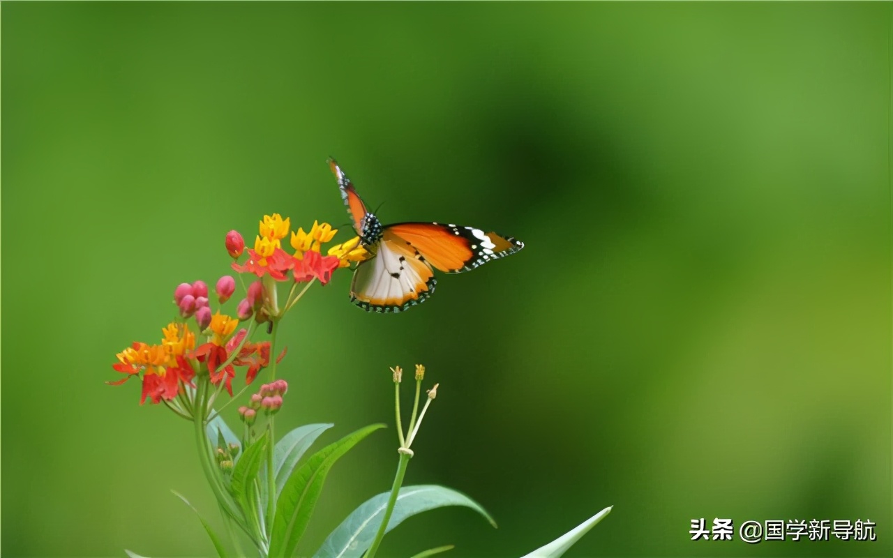 道德经第39章的心理感悟,《道德经》如何解除事业困惑