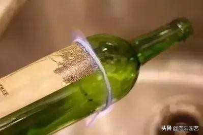 切酒瓶做花盆养多肉看效果,自制酒瓶多肉花盆如何造型