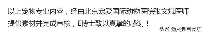 猫咪得了猫瘟如何治愈,猫咪得了猫瘟怎么帮助它挺过去