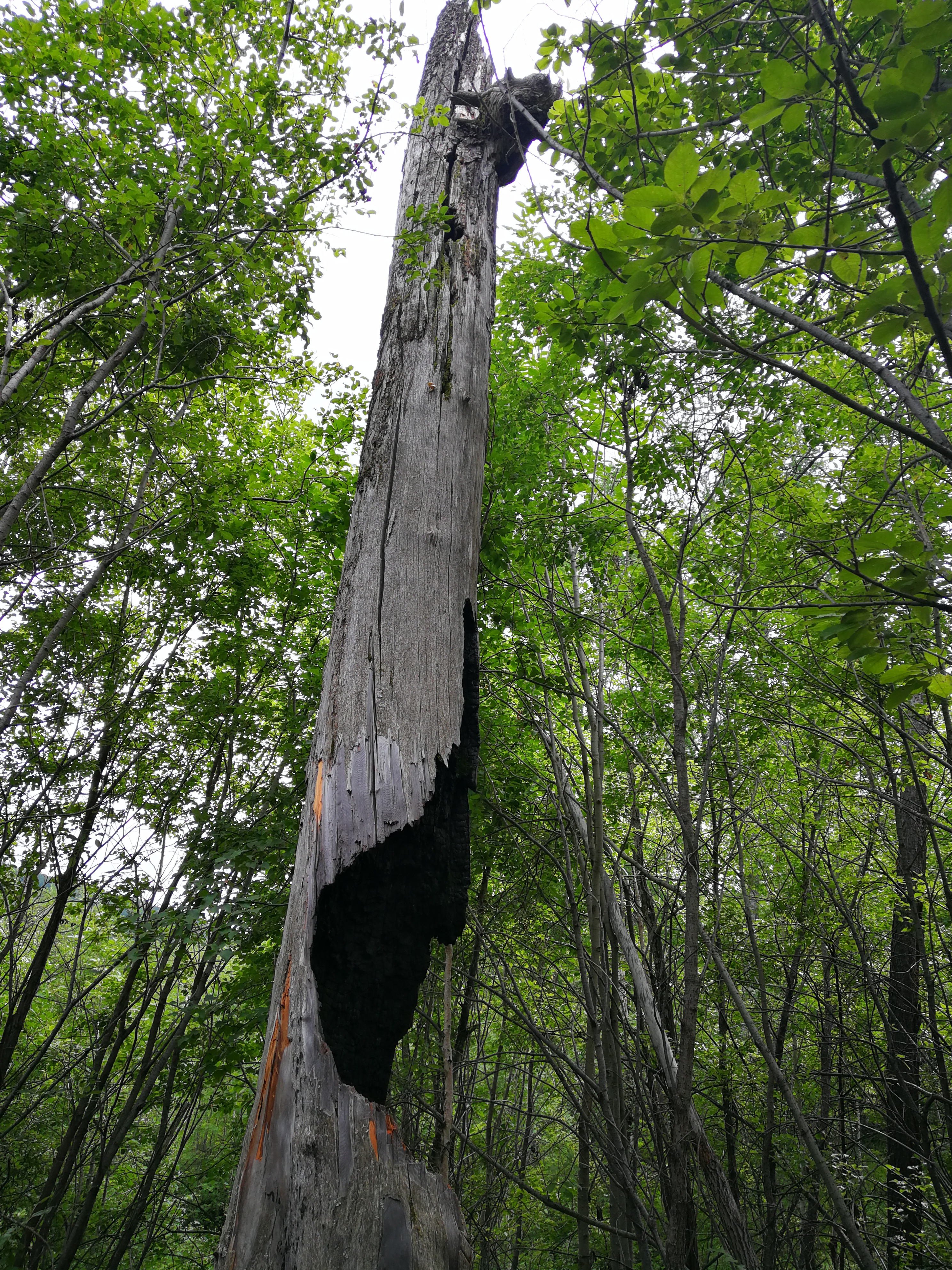 北京游阿尔山路线攻略,北京阿尔山旅游自由行攻略