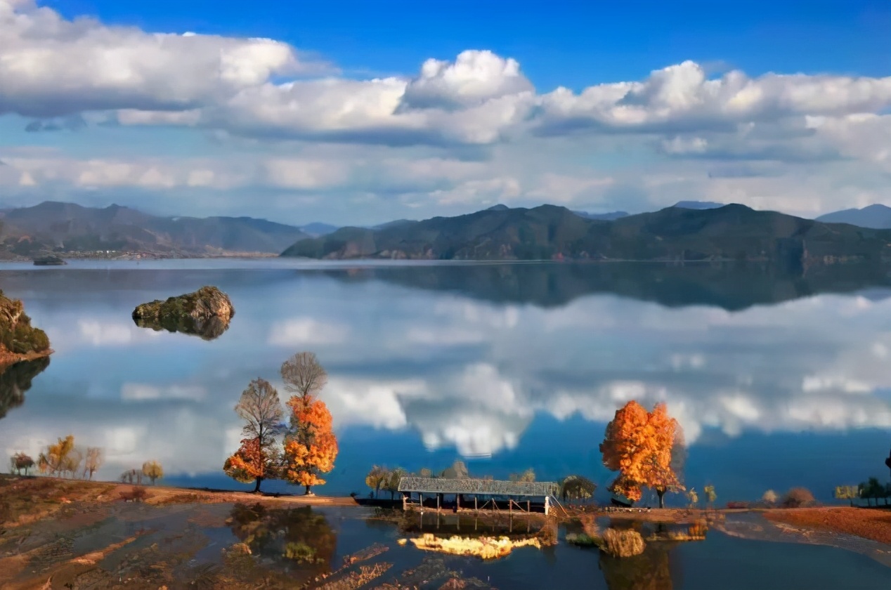 蛇岛为什么有千万条蛇,为什么蛇岛有这么多蛇其他岛没有