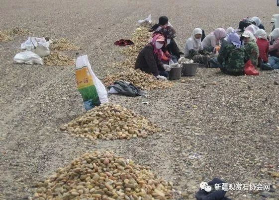 戈壁玉与戈壁石的区分,戈壁玉和戈壁石的区别