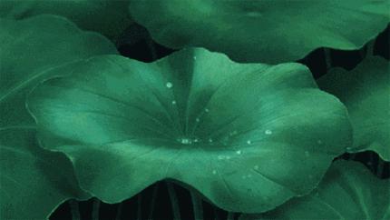 优秀作文抄写190字,优秀家教家风作文