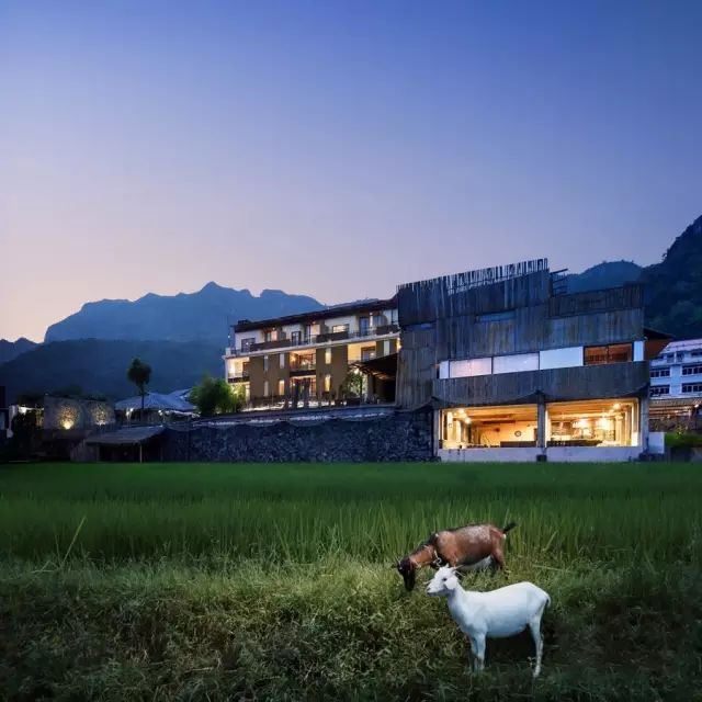 广州增城区宛若故里稻田里民宿,清远稻田田野民宿