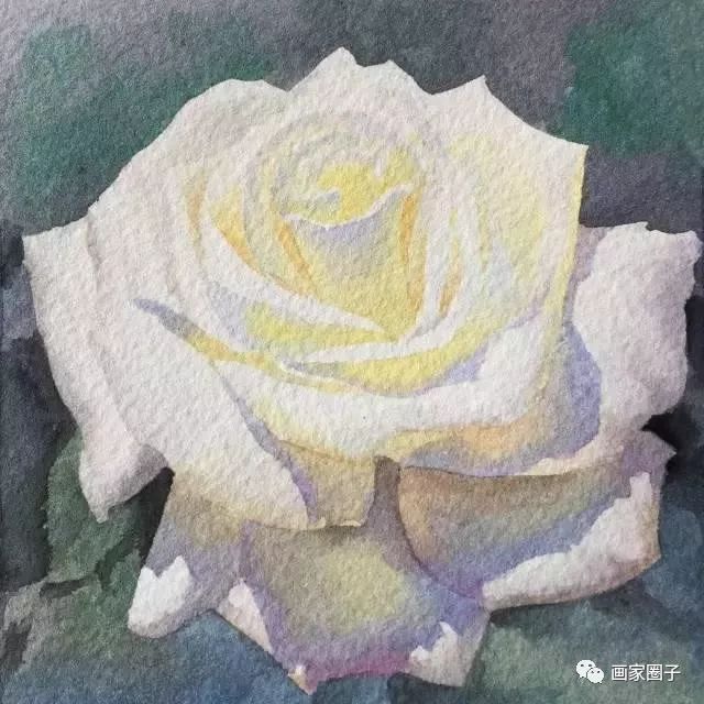 100种漂亮花卉图片,100张漂亮花图