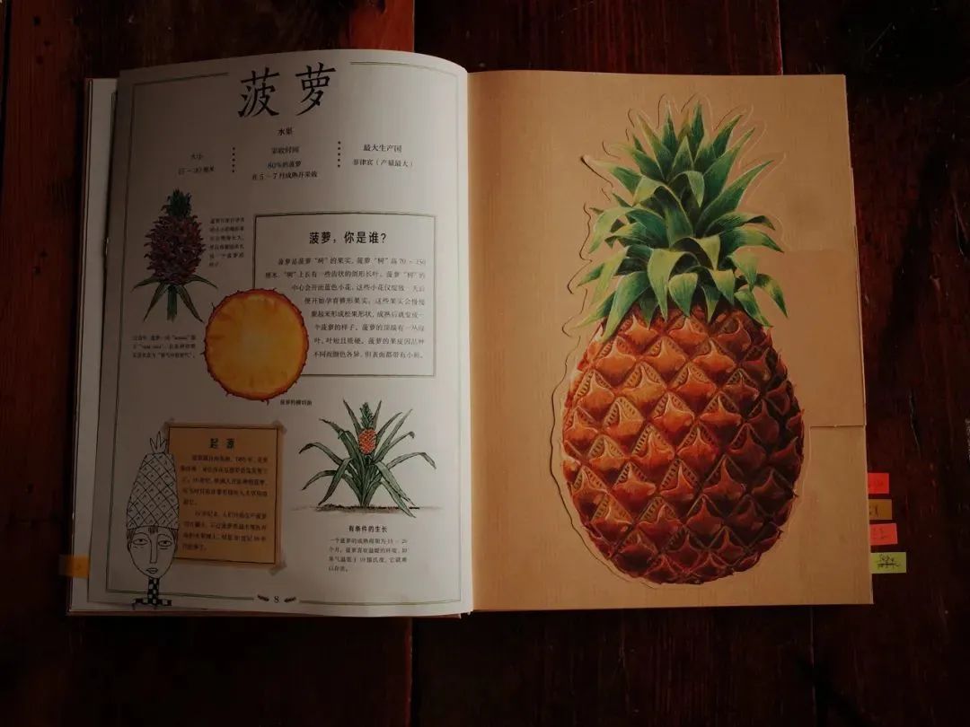 草莓开花就是果吗,草莓和无花果是真的果实吗