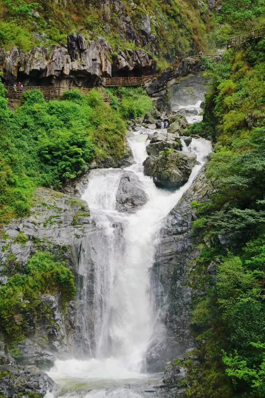 收好这份云南最新5a景区名单,云南的5a级景区有哪些