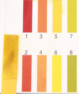 比较温和的洗脸奶,国际公认十大洗面奶