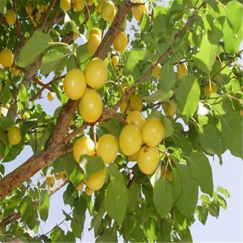 理综学霸必背口诀,高考学霸分享理综答题顺序