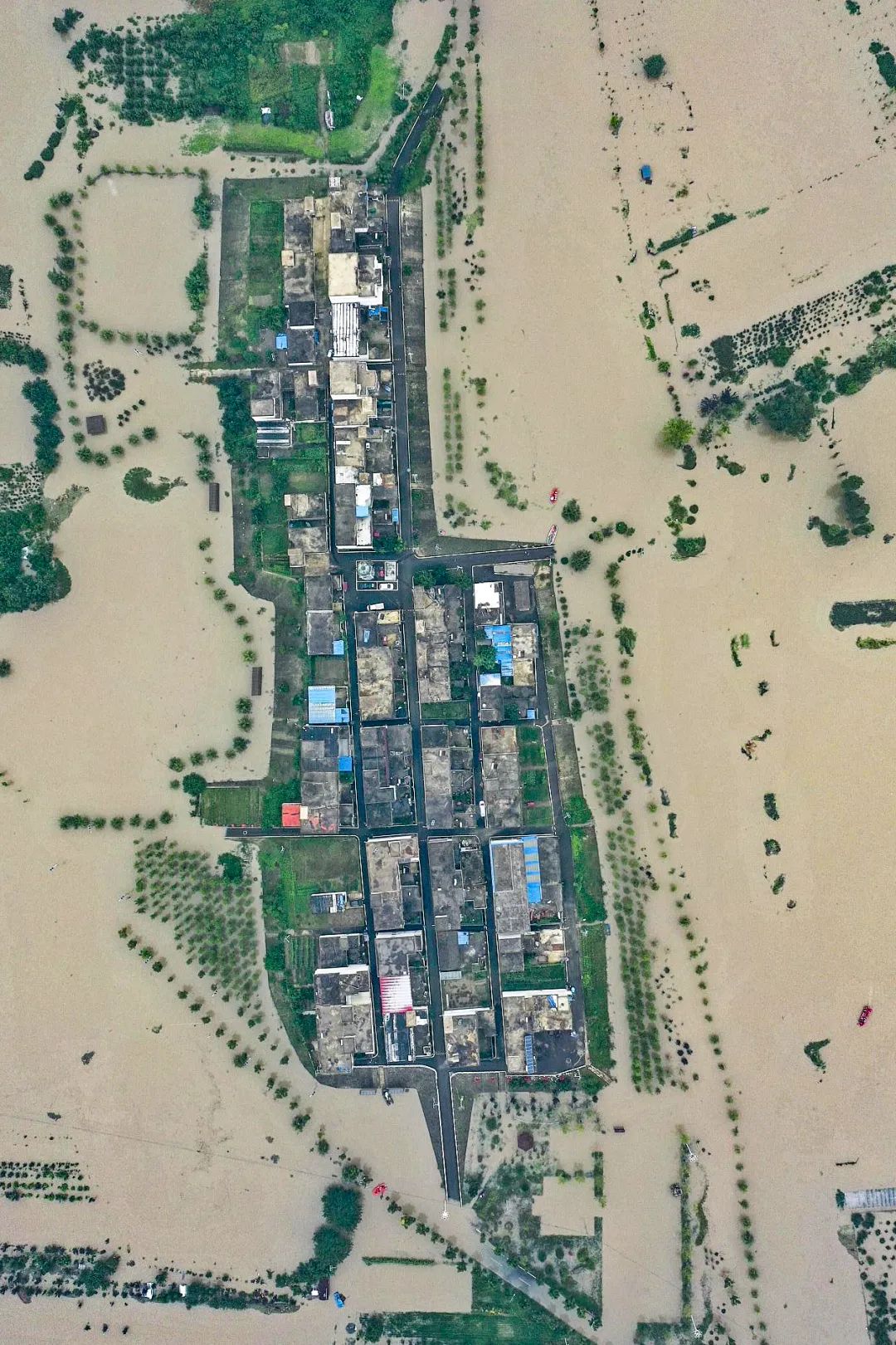 安徽未来会成为包邮区吗,安徽是包邮区域吗