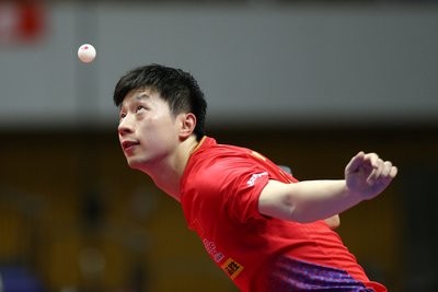 体育运动分类报告,体育运动分哪几类