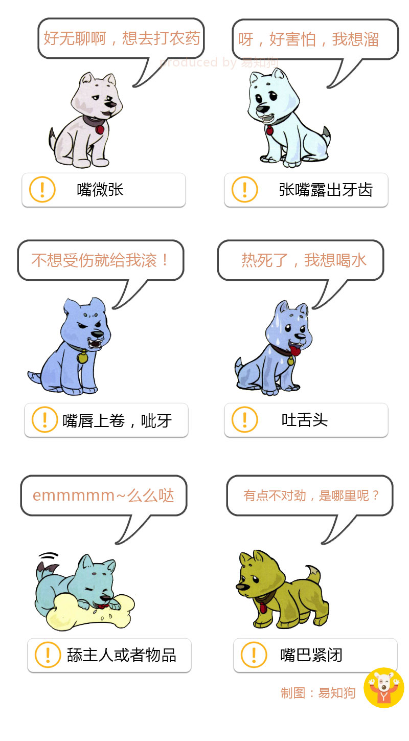 狗狗尾巴动作代表的含义,狗狗的尾巴动作代表的含义
