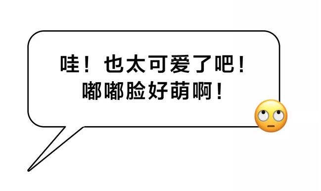 装高潮，当代青年的必备技能