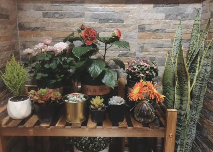 新房装修30个避坑的指南,装修房子从头到尾避坑指南