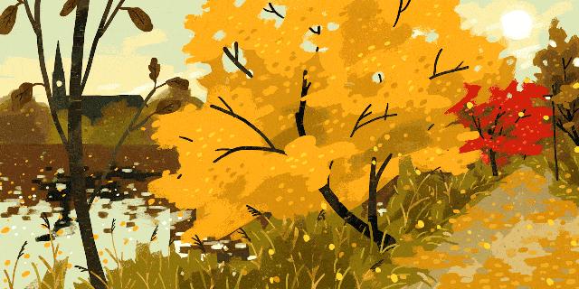 寒露节气养生的十大注意事项,寒露节气注意事项和禁忌