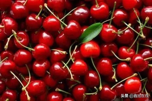 孟津五一有什么可以采摘的果蔬,洛阳孟津五一采摘园推荐