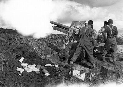 世界十大生物未解之谜,未解之谜奇闻异事神秘生物