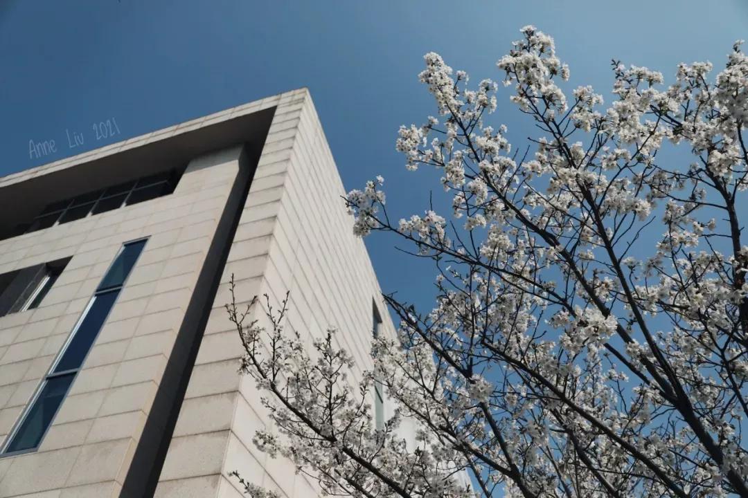 江苏昆山杜克大学图片,昆山杜克大学堪比985