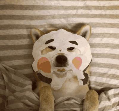 孙艺珍玄彬皮肤,蜂蜜护肤品