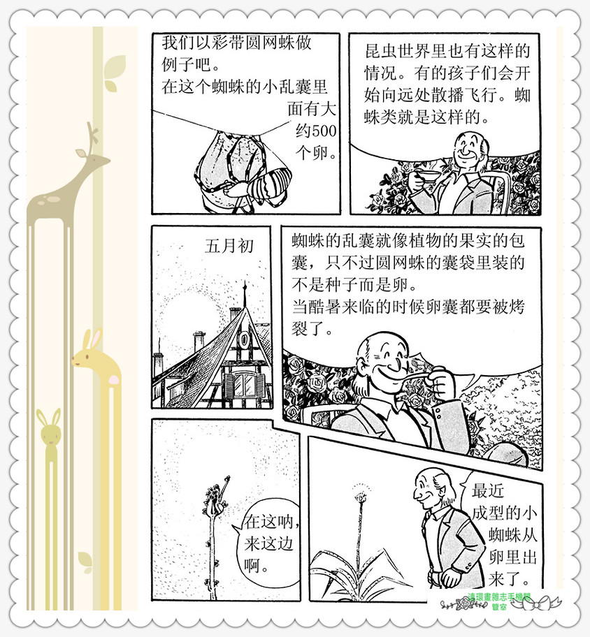 昆虫记法布尔动画片,昆虫记法布尔全套