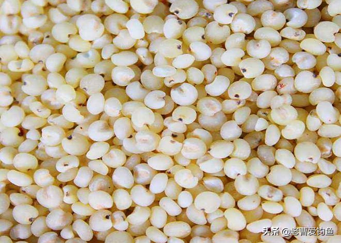 自制谷物窝料简单方便诱鱼效果好,西部风五谷杂粮玉米窝料2500克