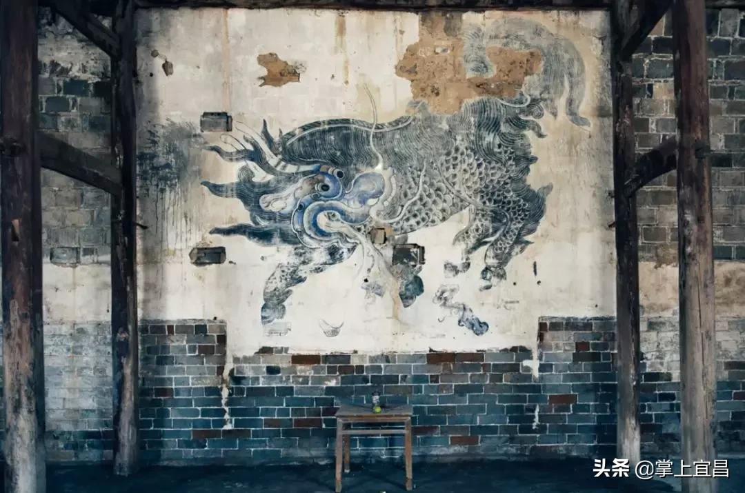 松子榛子,榛子东北榛子