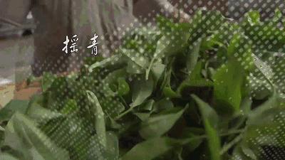 300块一斤包邮的茶叶和大几千上万的茶叶有区别么？